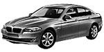 BMW F10 P255F Fault Code